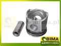 BIMA7502556A.jpg