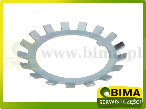 BIMA7502580A.jpg
