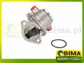 BIMA7502775A.jpg