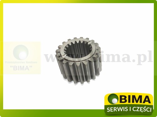 BIMA7502776A.jpg