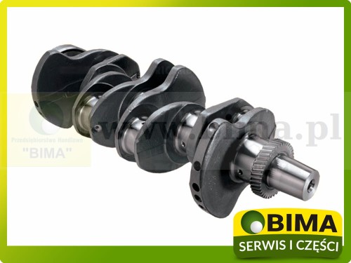 BIMA7502823a.jpg
