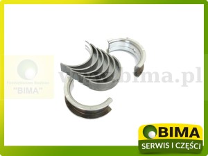 ZESTAW PANEWEK GŁÓWNYCH 0.020'' - 0.51 CASE 87555928