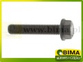 BIMA7503182a.jpg