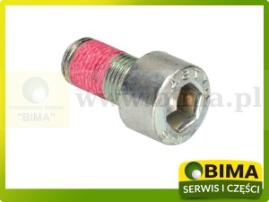 ŚRUBA WIDEŁEK WAŁU KARDANA MANITOU 52552319