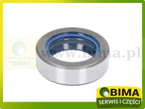 USZCZELNIACZ PÓŁOSI PRZEDNIEGO NAPĘDU MASSEY FERGUSON 3428521M2