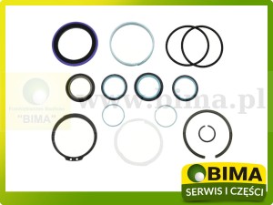 ZESTAW NAPRAWCZY SIŁOWNIKA PODNOŚNIKA FEDNT G001990010890