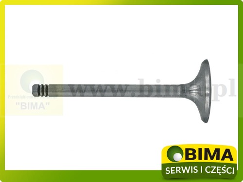 BIMA7503346A.jpg