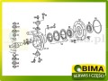 BIMA7503389C.jpg