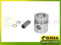 BIMA7503391A.jpg