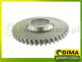 BIMA7503522b.jpg