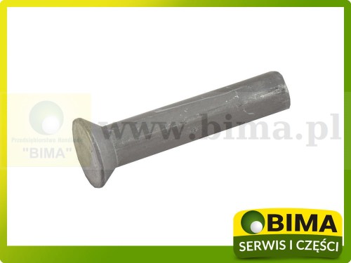 BIMA7503575A.jpg