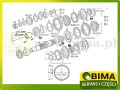 BIMA7503585B.jpg