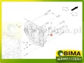 BIMA7503603b.jpg
