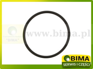 ORING TŁOKA PODNOŚNIKA CASE K623519