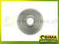 BIMA111A.jpg