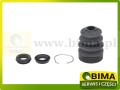 BIMA7503858A.jpg