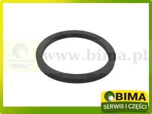 PIERŚCIEŃ USZCZELNIAJĄCY PÓŁOSI ORYGINAŁ MASSEY FERGUSON 1610169M1