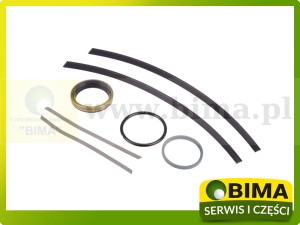 ZESTAW USZCZELNIAJĄCY WYSPRZĘGLIKA MASSEY FERGUSON 3900244M91