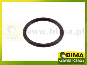 ORING ORYGINAŁ RENAULT CLAAS 6005024434