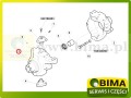 BIMA7504743D.jpg
