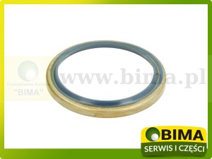 USZCZELNIACZ PIASTY KOŁA FORD NEW HOLLAND 83944350