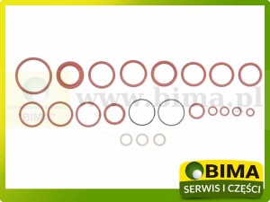 KOMPLET NAPRAWCZY ZAWORU KIERUNKOWEGO FENDT MASSEY FERGUSON 1527010428, 3903869M92, F716961020020