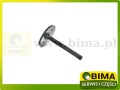 BIMA7505343A.jpg