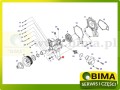 BIMA7505633B.jpg