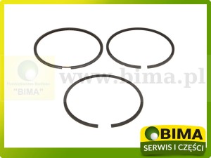 PIERŚCIENIE TŁOKOWE OEM RENAULT CLAAS 6005012810