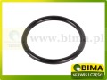 BIMA7505641.jpg