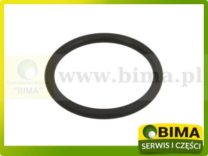 ORING OBUDOWY FILTRÓW PALIWA SAME DEUTZ FAHR 04201462