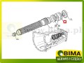 BIMA7505711B.jpg
