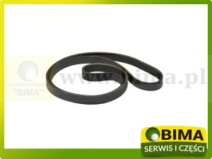 PASEK WIELOROWKOWY CASE J911562