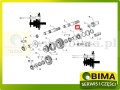 BIMA7505960A.jpg