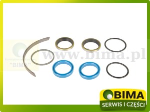 ZESTAW NAPRAWCZY SIŁOWNIKA SKRĘTU MASSEY FERGUSON 3900289M91