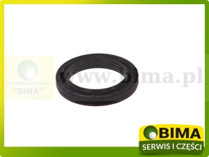 USZCZELNIACZ WAŁU KORBOWEGO CASE 704686A1