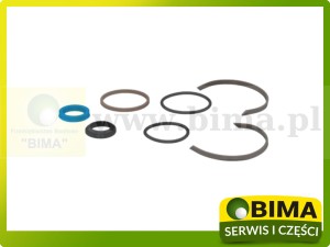 ZESTAW NAPRAWCZY ZESTAW USZCZELNIAJĄCY SIŁOWNIKA SKRĘTU ORYGINAŁ RENAULT CLAAS 7701201643