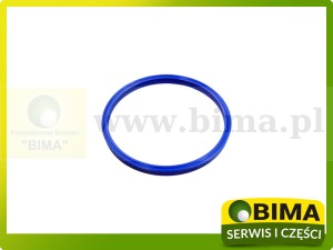 PIERŚCIEŃ USZCZELNIAJĄCY SIŁOWNIKA PODNOŚNIKA RENAULT CLAAS 6005028007