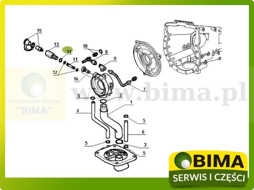 BIMA7506455.jpg