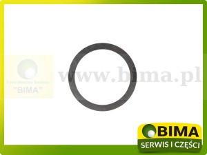 PIERŚCIEŃ ZWROTNICY RENAULT CLAAS 6005009873