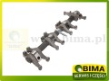 BIMA7506836A.jpg