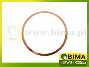 USZCZELKA GŁOWICY SAME LAMBORGHINI 2.1569.078.0/10