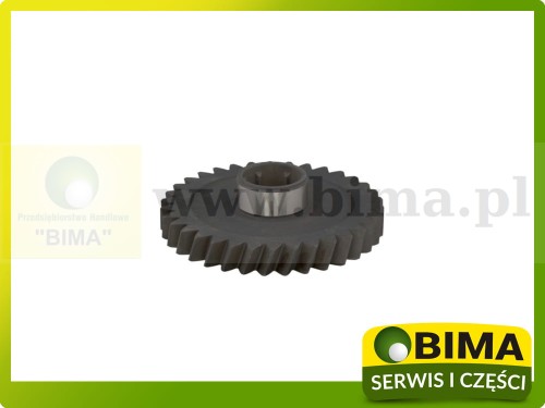 BIMA7506880A.jpg