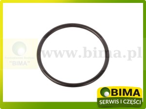 ORING WAŁKA SKRZYNI BIEGÓW MASSEY FERGUSON 366124X1