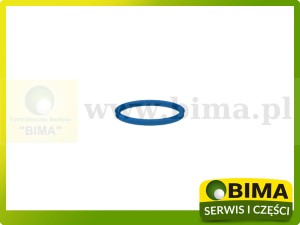 USZCZELNIACZ SIŁOWNIKA PODNOŚNIKA ORYGINAŁ RENAULT CLAAS 6005022170