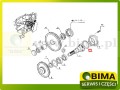 BIMA7507229B.jpg