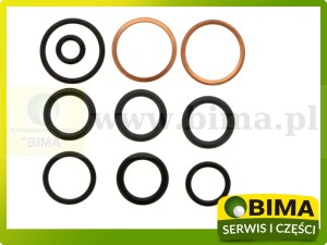 ZESTAW USZCZELNIACZY MASSEY FERGUSON 3105214M91