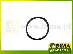 ORING OBUDOWY PRZEDNIEJ SILNIKA FENDT X548908412000