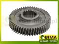 BIMA7507725A.jpg