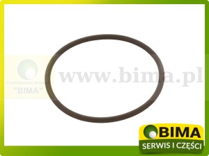 ORING WAŁKA PRZEDNIEGO NAPĘDU CASE FORD NEW HOLLAND 14459381